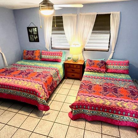 Esperanza Inn Guesthouse (Adults Only) 비에케스 객실 사진