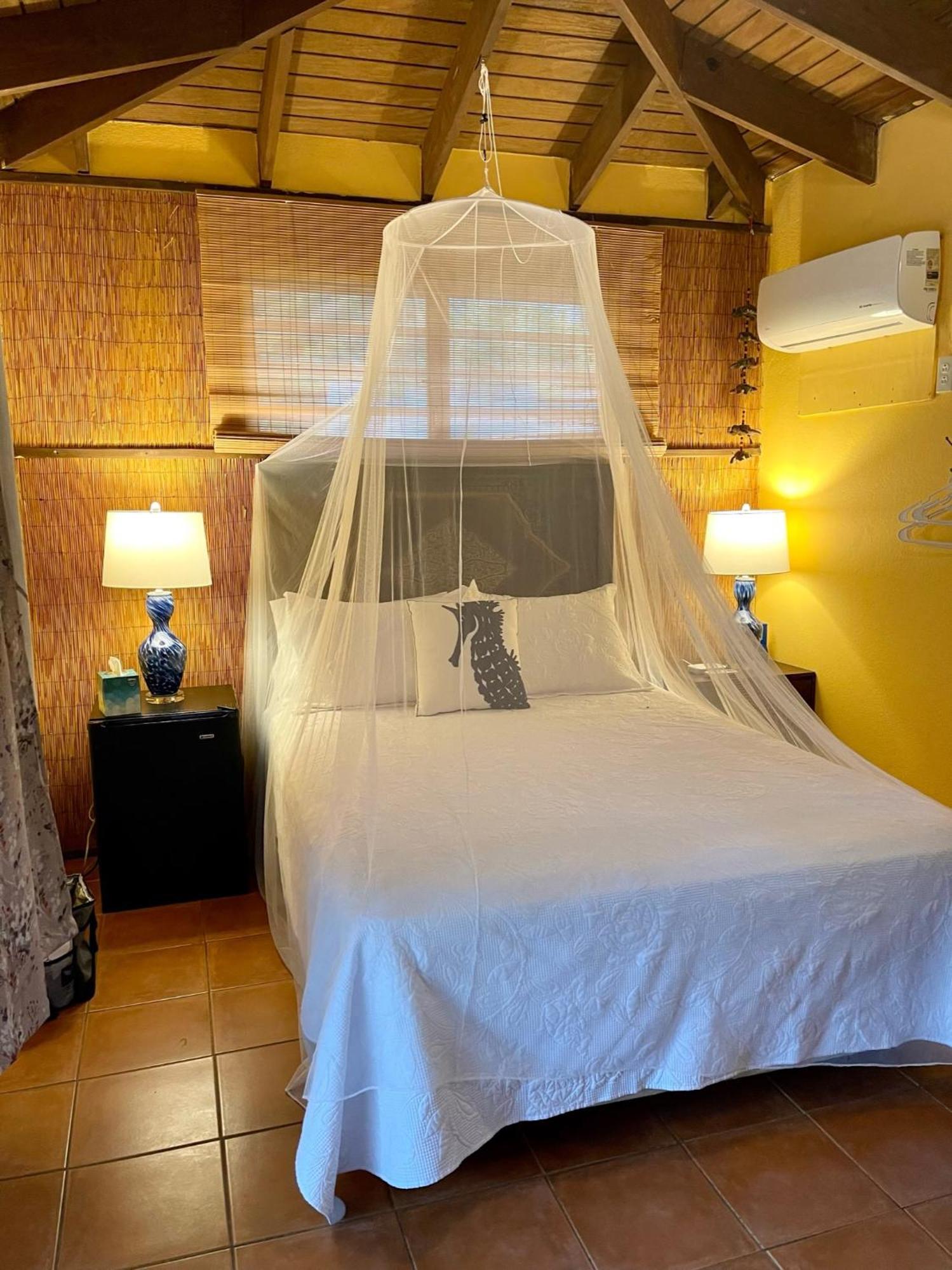 Esperanza Inn Guesthouse (Adults Only) 비에케스 객실 사진